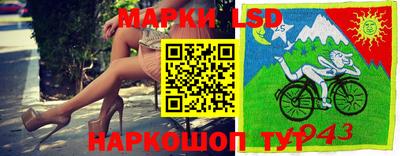 бошки Краснодар