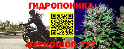 бошки Краснодар